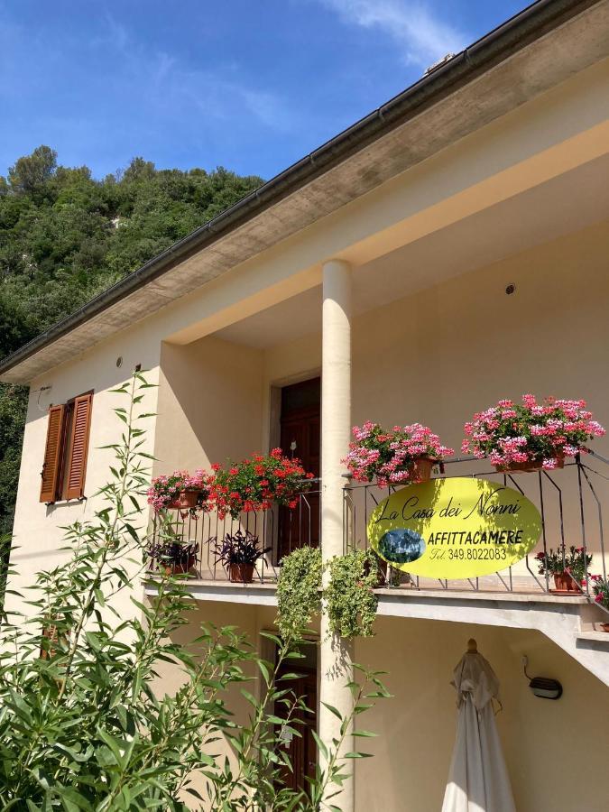 La Casa Dei Nonni Hotel Torre Orsina Luaran gambar